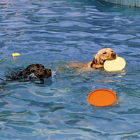 Thumbnail for Dog Heaven™ Flying Disc