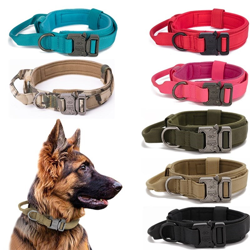 Dog Heaven™ Heavy Duty Collar & Bungee Leash