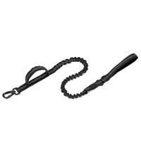 Thumbnail for Dog Heaven™ Heavy Duty Collar & Bungee Leash