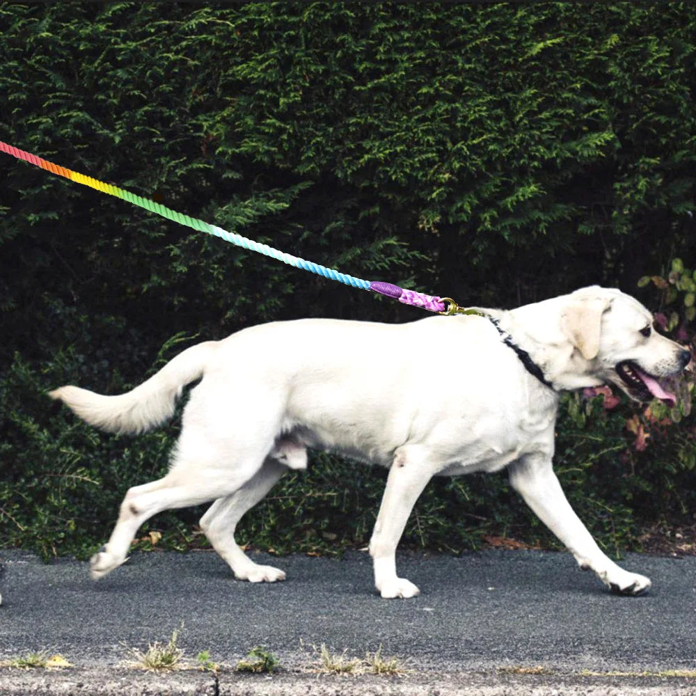 Dog Heaven™ Rope Leash