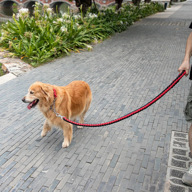 Dog Heaven™ Braided Leash