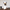 French Bulldog Travel Mug With Handle