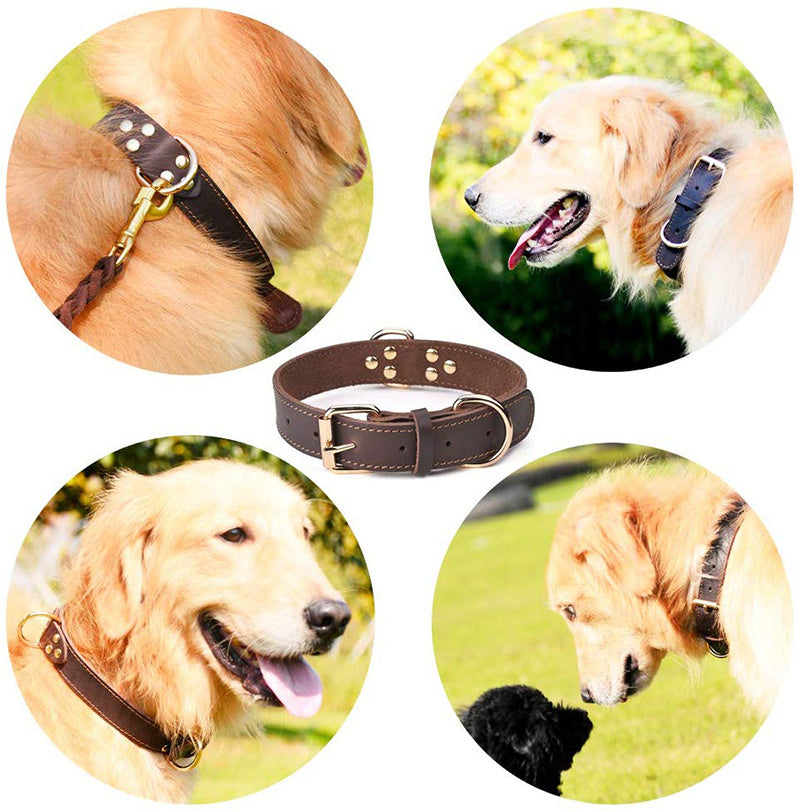 Dog Heaven™ Genuine Leather Collar