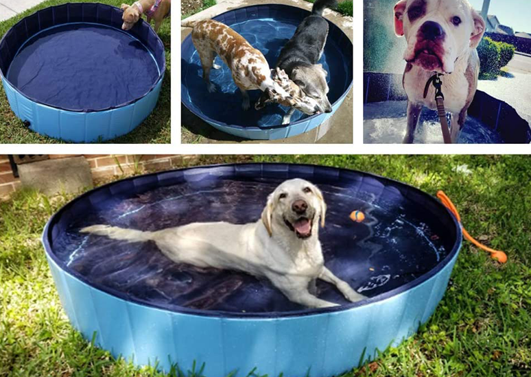 Dog Heaven™ Collapsible Pool
