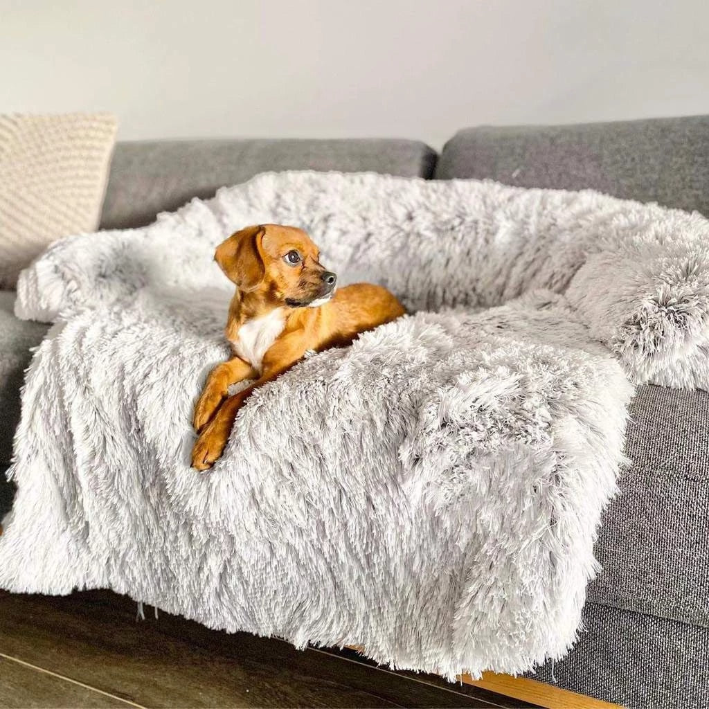 https://dogheaven.co/cdn/shop/products/PupCouchProductPhoto.jpg?v=1680803808