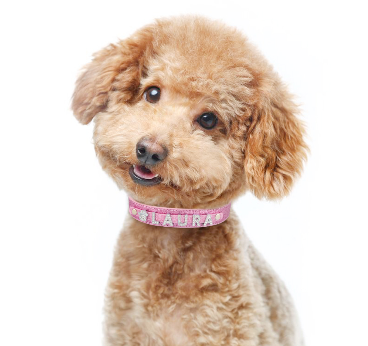 Dog Heaven Personalized Bling Collar