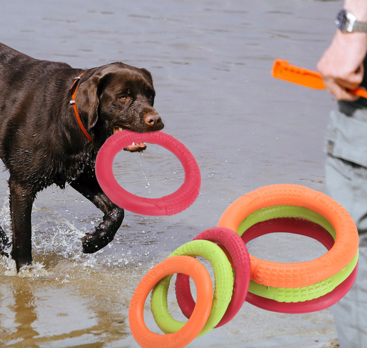 Large Dogs Interactive Training Ring Puller Resistant For Dogs Pet Flying  Discs