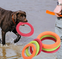 Thumbnail for Dog Heaven™ Ring Toy