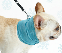 Thumbnail for Dog Heaven™ Cooling Neck Wrap