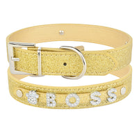 Thumbnail for Dog Heaven™ Personalized Bling Collar
