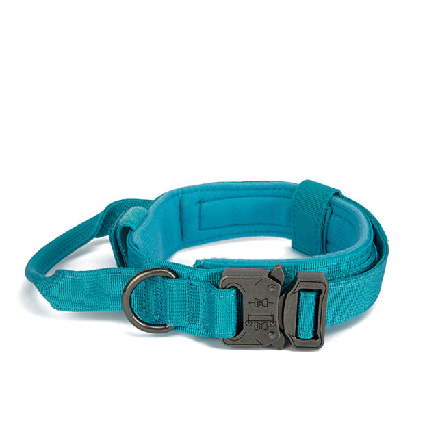 Dog Heaven™ Heavy Duty Collar & Bungee Leash